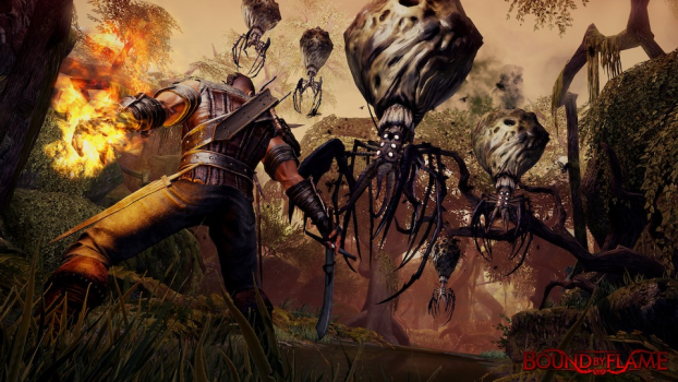 Bound By Flame | PC - Steam | Game Keys